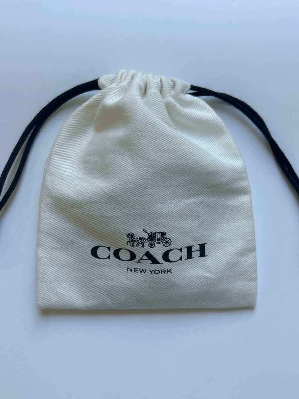Coach Rose Gold Necklace and Earring Tea Set with Dust Bag
